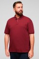 Kurzarm-Uni-Polo von s.Oliver