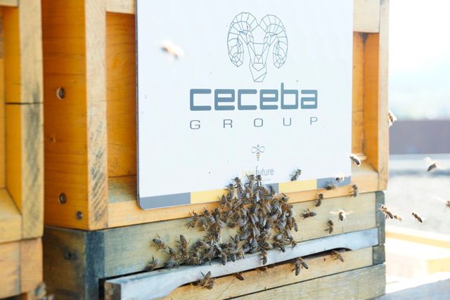 CECEBEE - Hönig von Ceceba CECEBA-Group_kleiner